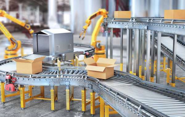 Packaging Automation Market Segmentation And Opportunity Assessment 2028
