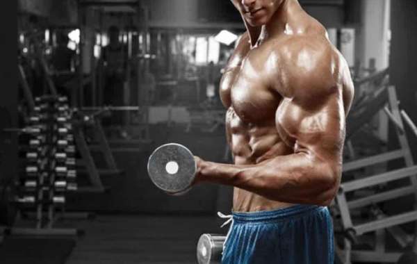 The 9 Best Supplements For  and e Best testosterone booster pills