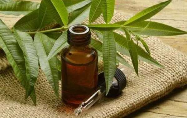 Tea Tree Oil for Luscious Locks: The Ultimate Haircare Companion