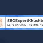 SEO Expert Khushbu Profile Picture