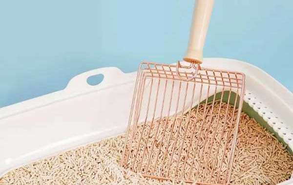 The necessity of having a convenient cat litter cleaning scoop